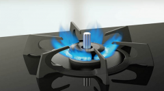 <b>燃氣灶的火焰不是藍色的，正常嗎？</b>
